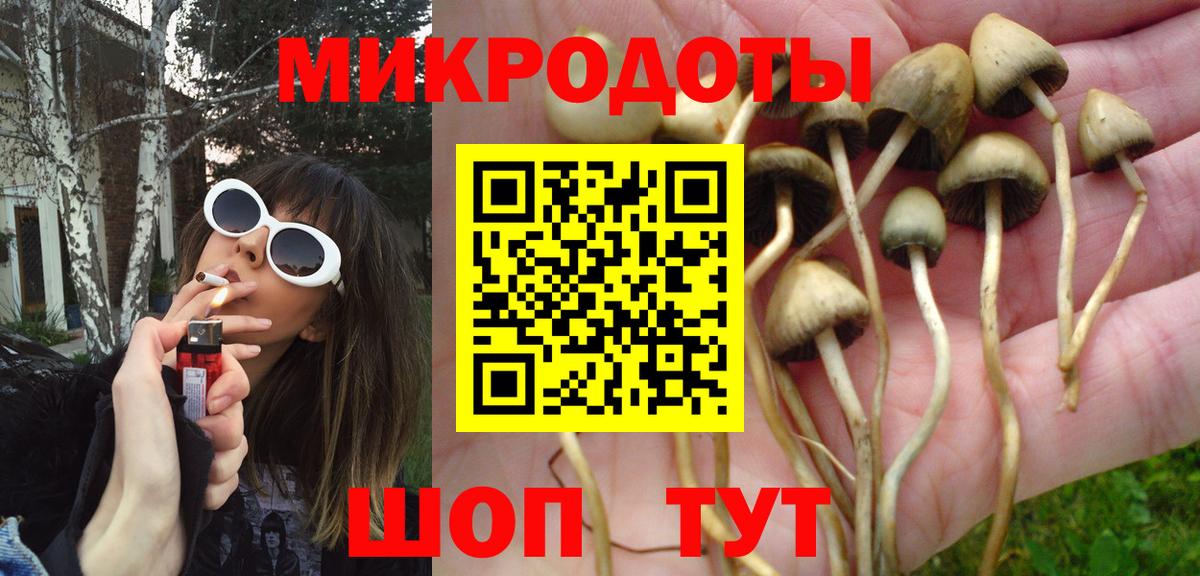 Галлюциногенные грибы мицелий  Галлюциногенные грибы мицелий  Брянск  Вход с VPN 